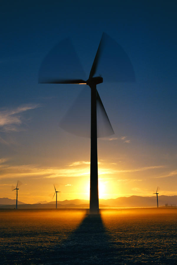 Wind Turbines Print