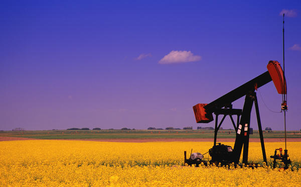 Pumpjack In A Canola Field by PacificStock