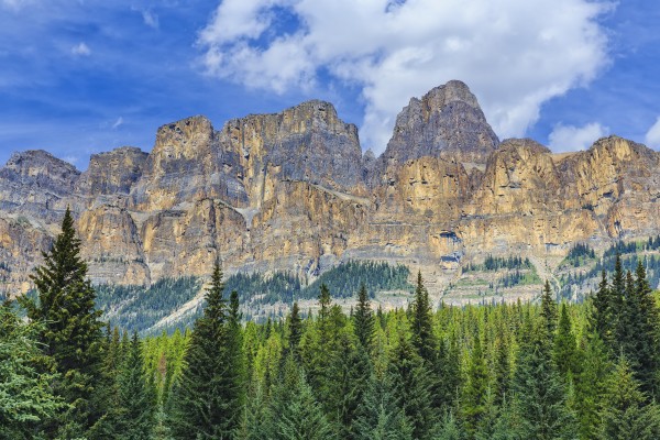 Castle Mountain and coniferous trees, Banff National Park; Alberta, Canada by PacificStock