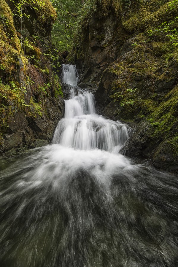 Unnamed stream and waterfall, Strathcona Provincial Park; British Columbia, Canada by PacificStock