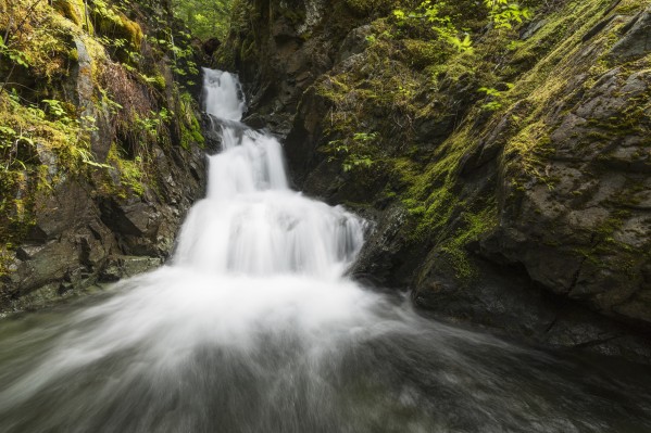 Unnamed stream and waterfall, Strathcona Provincial Park; British Columbia, Canada by PacificStock