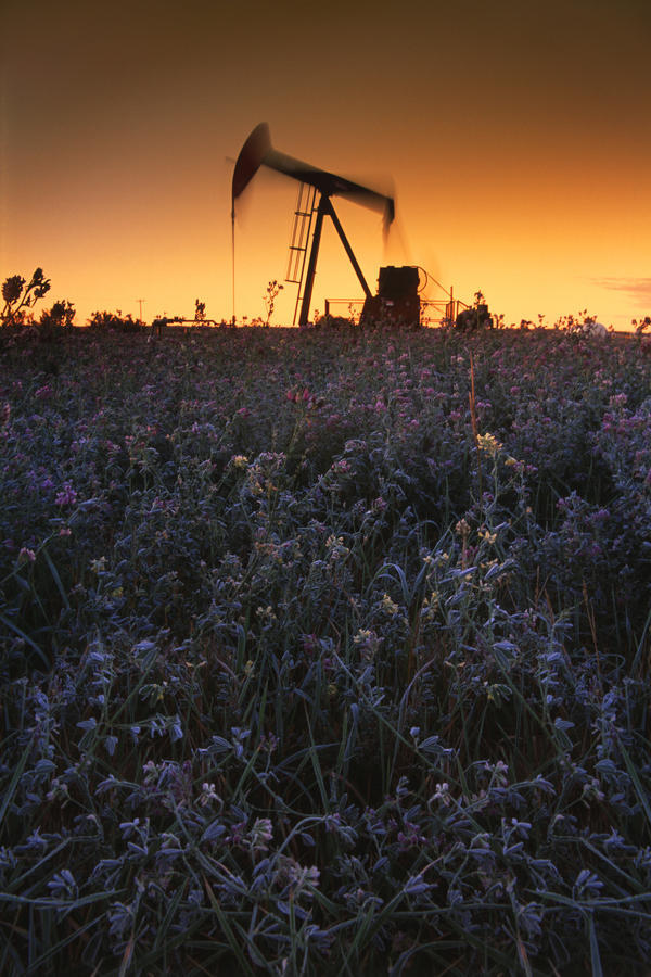 Pumpjack In A Field, Alberta, Canada by PacificStock