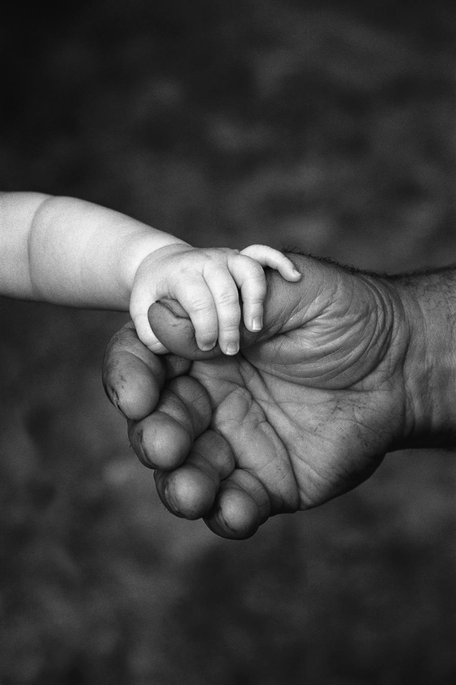 Baby's Hand Holding On To Adult Hand by PacificStock Wall Art
