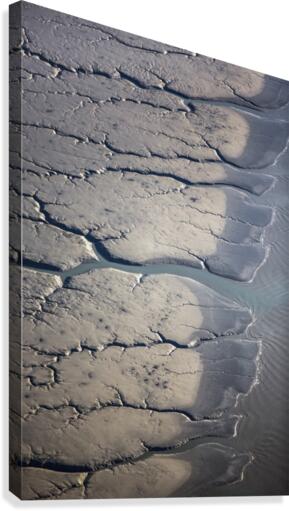 Aerial view of patterns made by water draining over the Silt Mud Flats along Cook Inlet, South-central Alaska; Alaska, United States of America  Canvas Print