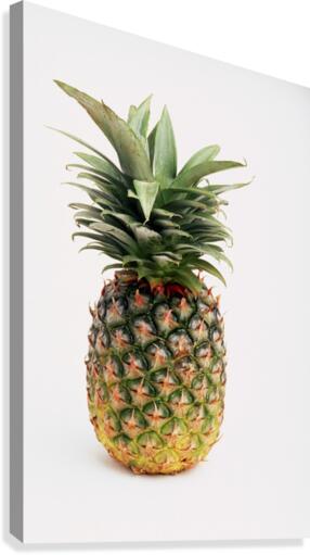 Pineapple Canvas Print