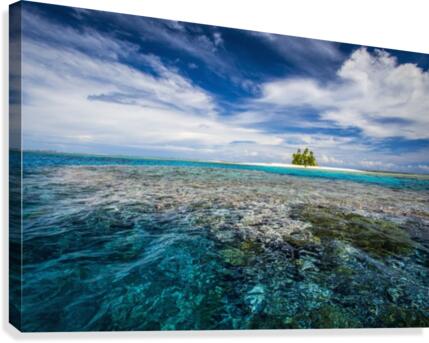 An island that forms part of the marine park, near the Tuvalu mainland; Tuvalu  Impression sur toile
