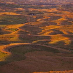 Hilly Landscape