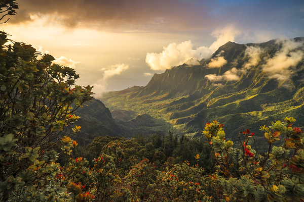 Majestic valley at sunset Kauai island Hawaii by Matteo Colombo