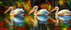 REFLECTION