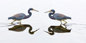 Face to Face