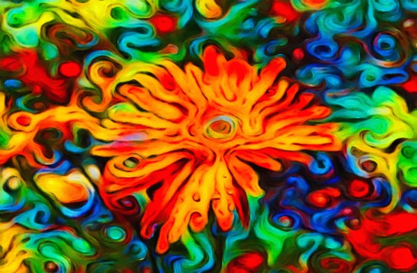 Drop Flower Print