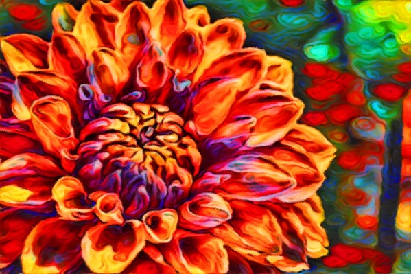 Flower Colors Print
