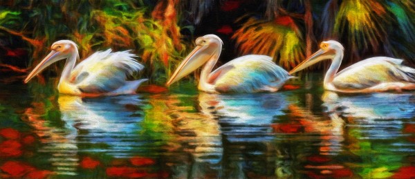 REFLECTION Print