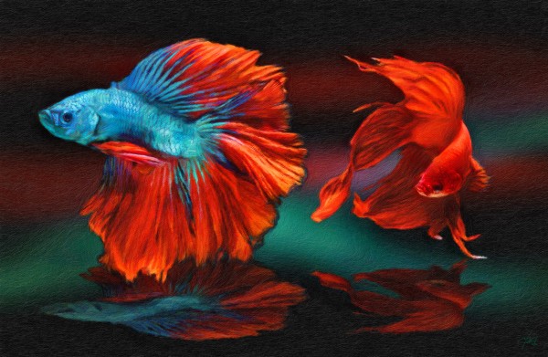 Red Fight Print