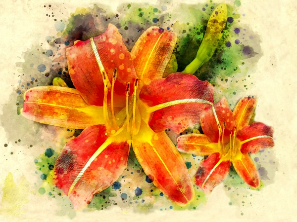 Spring Flower Print