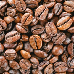 coffee beans macro