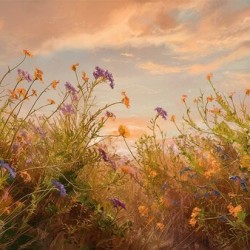 Autumn Meadow Splendor