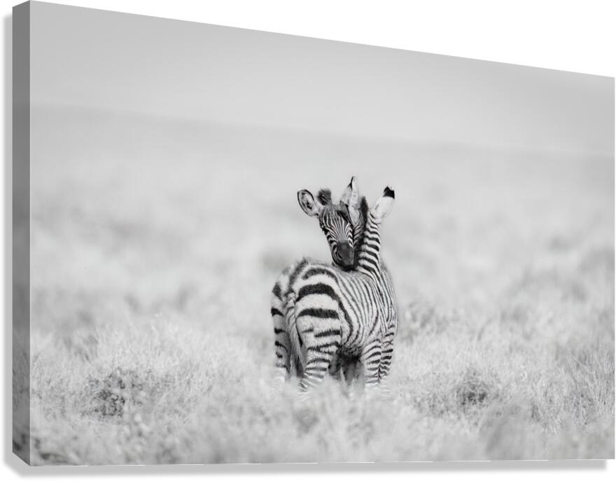 Side by Side Canvas Print