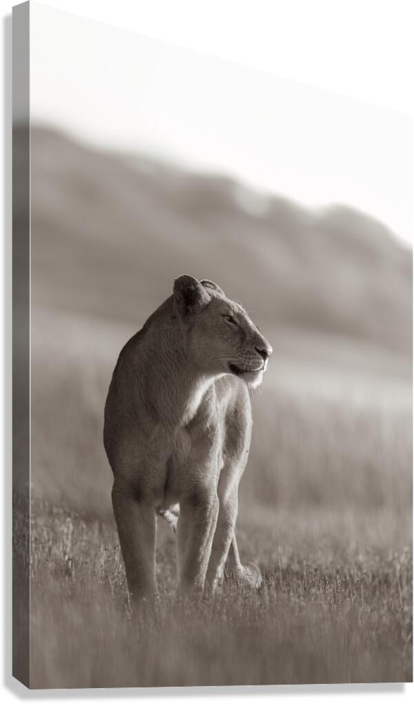 The Queen Canvas Print