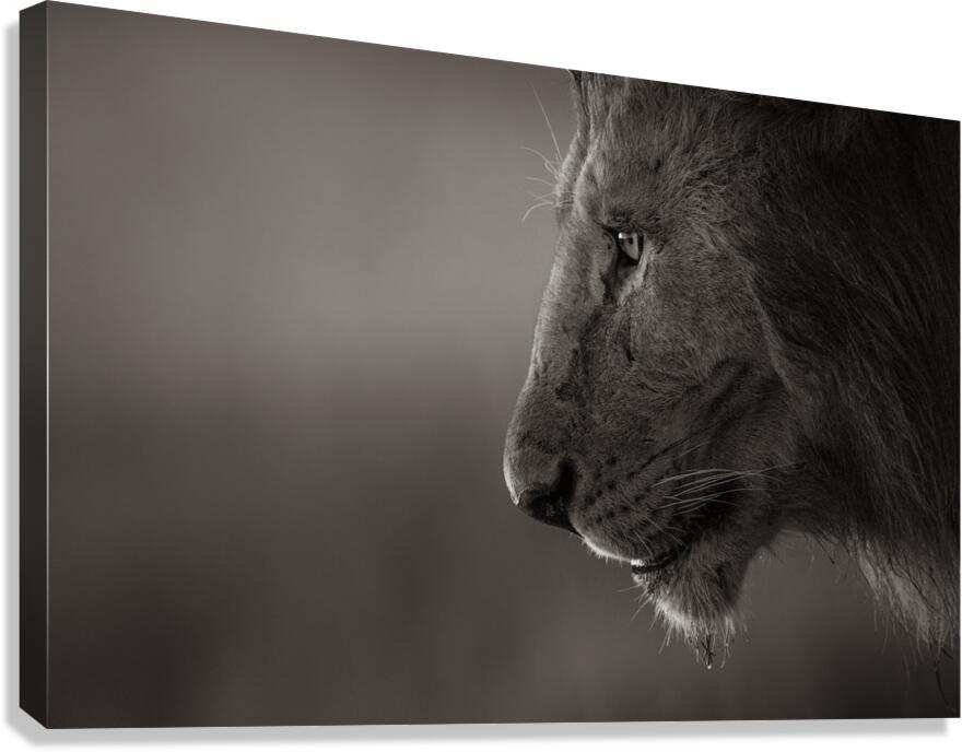 Scarface Canvas Print