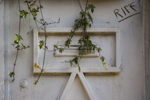 LetterBox