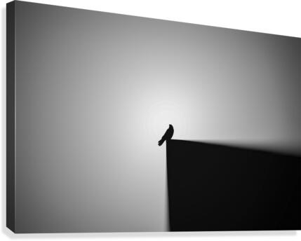 bird alone Canvas Print