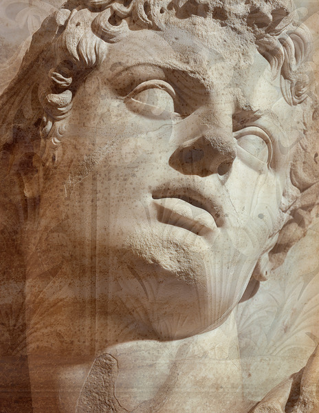 Classic Beauty  Print