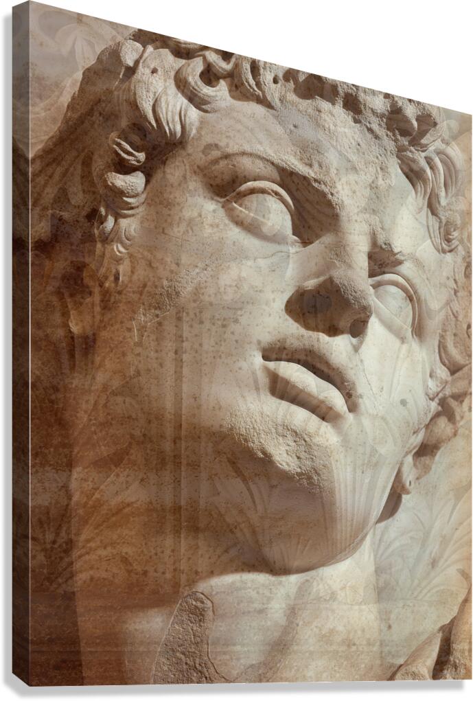 Classic Beauty  Canvas Print