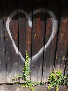 Heart and Ivy - Love Grows in Unexpected Places
