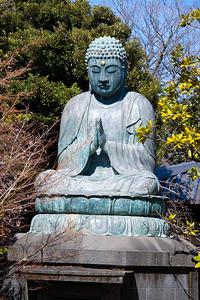 Serenity in Yanaka - Buddha in Tokyo Tennoji Temple