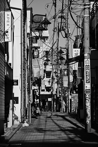 Electric Tangle - Shibuya Tokyo Black and White