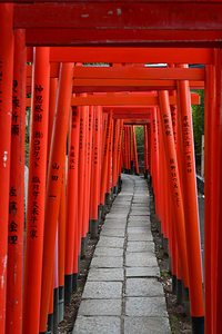 Path of Devotion - Vermilion Torii Gates at Nezu Shrine Tokyo