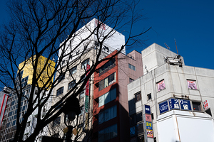 Shibuya Urban Geometry - Colorful Buildings and Bare Trees