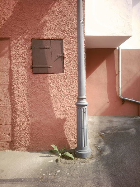 Persistence in Pastel Print