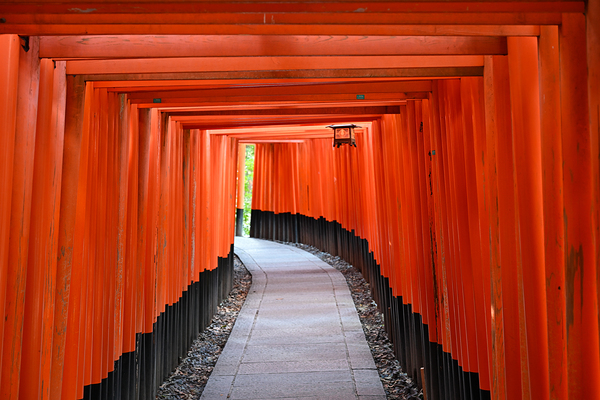 Path Through the Torii Gates - Fushimi Inari Kyoto by Matthias Hauser