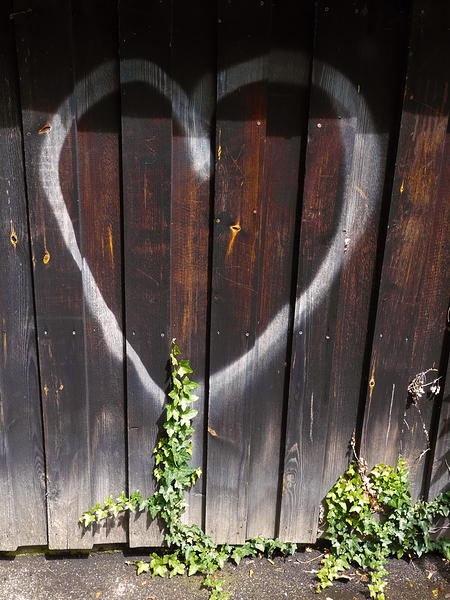 Heart and Ivy - Love Grows in Unexpected Places by Matthias Hauser