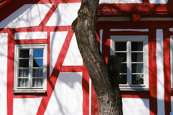Timber Frame and Tree Trunk - Sindelfingen Facade Detail by Matthias Hauser
