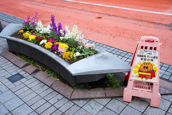 Spring Blooms and Street Signs - Tokyo Sidewalk Charm by Matthias Hauser