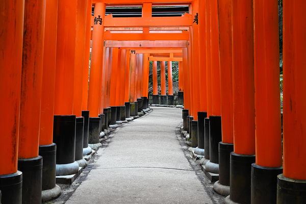 Torii Pathway at Fushimi Inari Shrine - Kyoto Japan by Matthias Hauser
