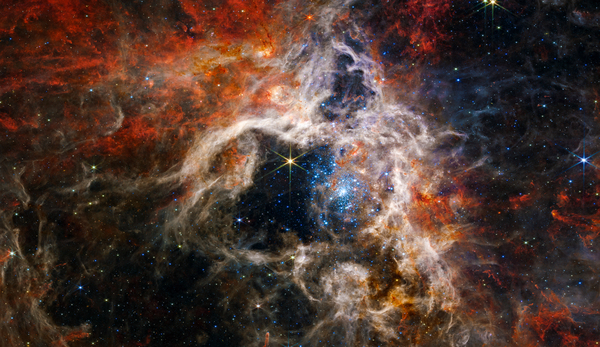 Tarantula Nebula Space Image James Webb Telescope by Matthias Hauser