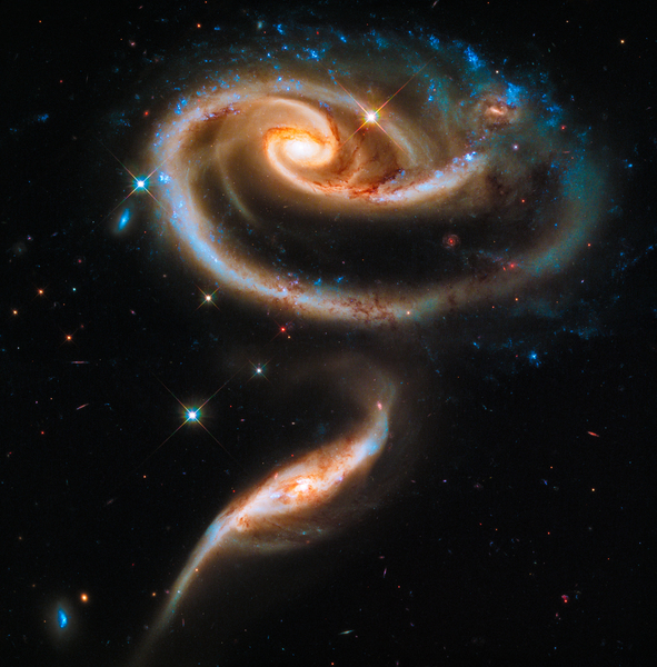 Space image Galaxy rose Print