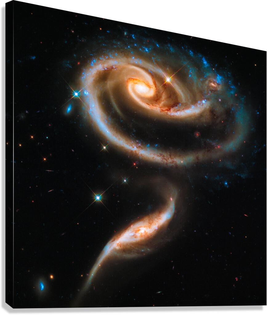 Space image Galaxy rose Canvas Print