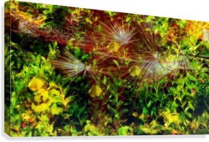 Forest sparkle Canvas Print
