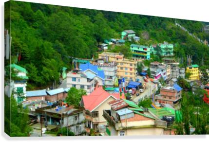 Beautiful view Canvas Print