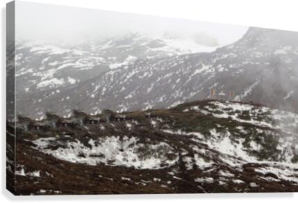 Freezing  Canvas Print