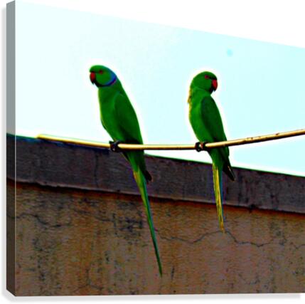 Swinging Canvas Print