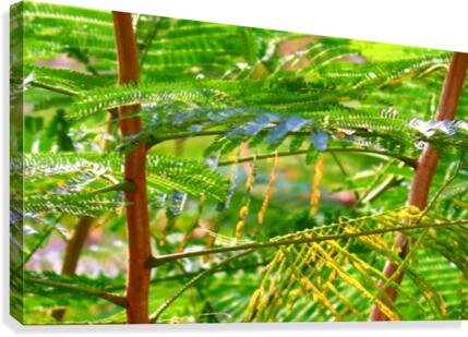 Greenery Canvas Print