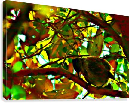 Multicolored Canvas Print