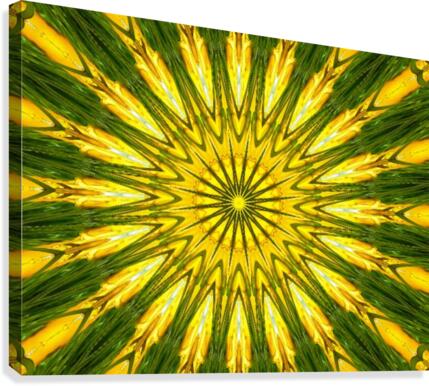 Fractals Canvas Print