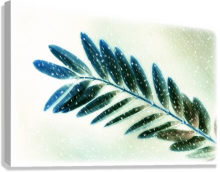Leaf Canvas Print